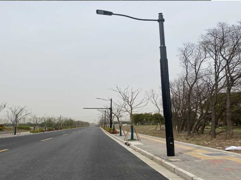 广陵区上海综合杆 太阳能路灯工程